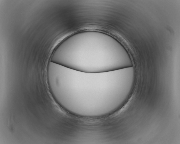 X0000115831129200911131122