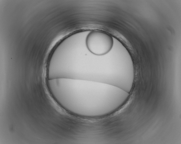 X0000115831130200911131122