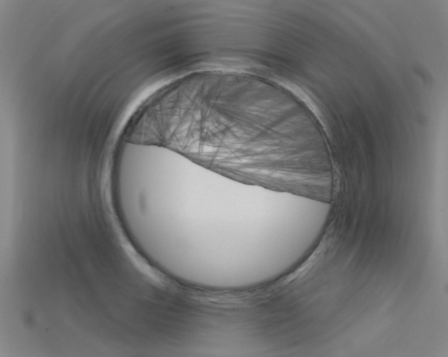 X0000115831131200911131122