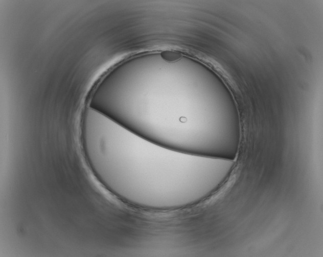 X0000115831134200911131122