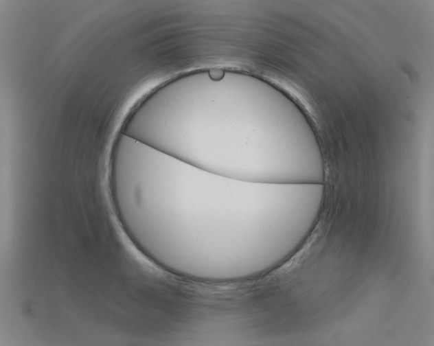 X0000115831135200911131122