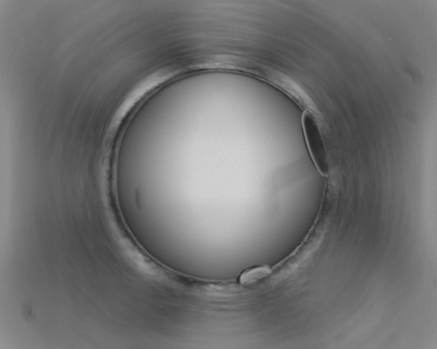 X0000115831138200911131122
