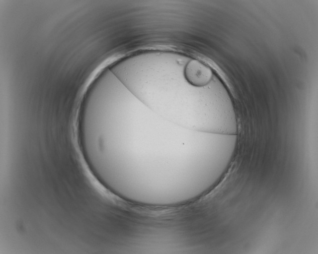 X0000115831139200911131122