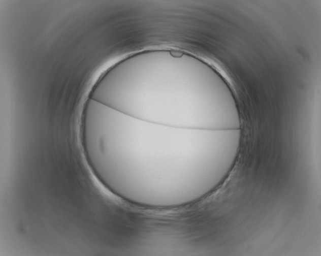 X0000115831143200911131122
