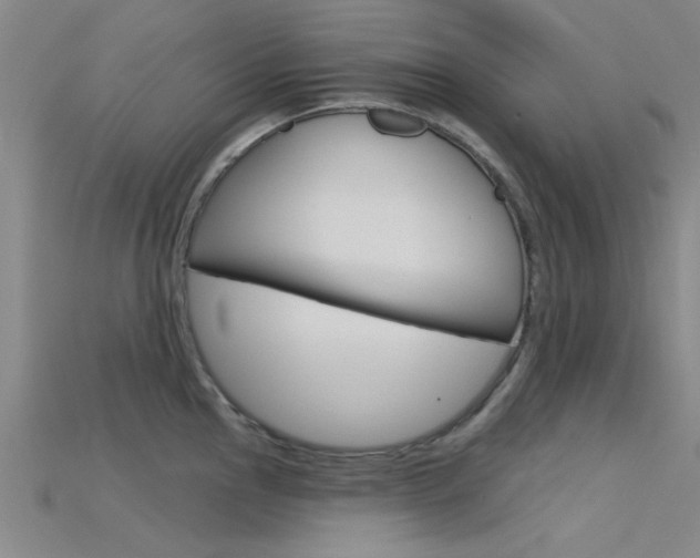 X0000115831145200911131122