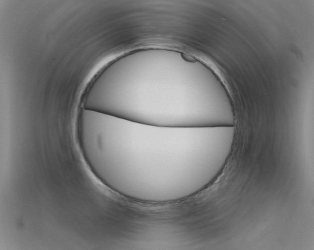 X0000115831147200911131122