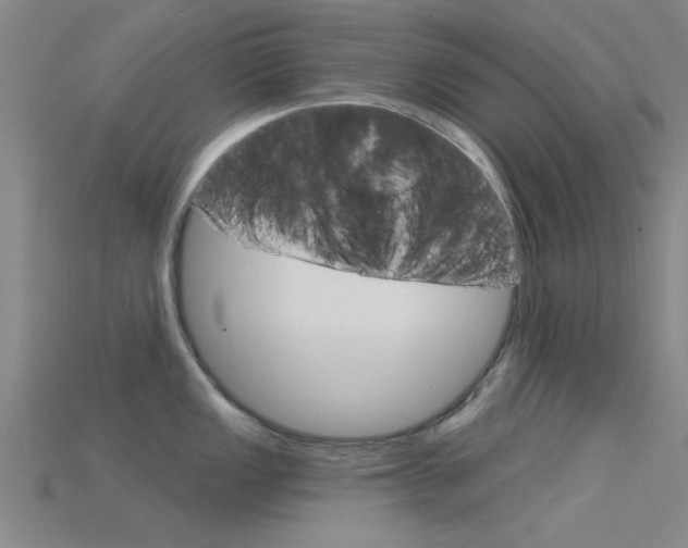 X0000115831149200911131122