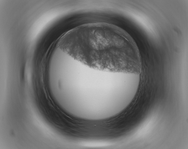 X0000115831151200911131122