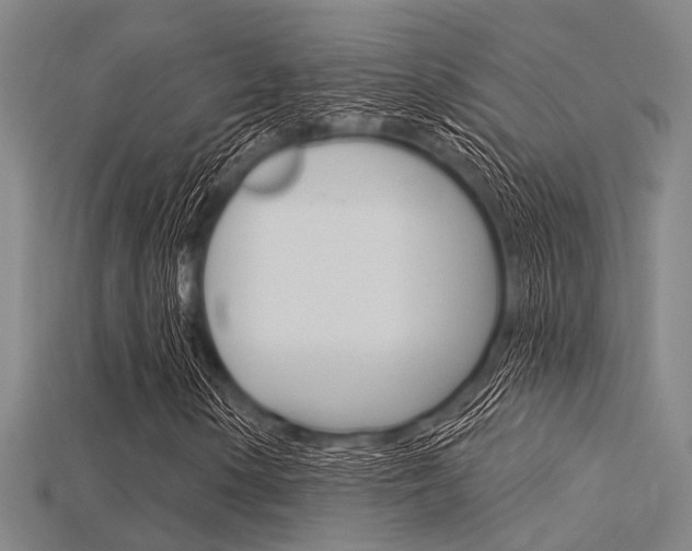 X0000115831154200911131121