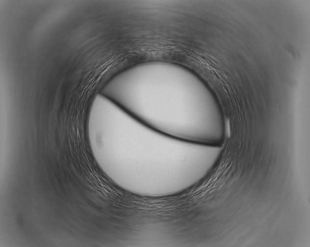 X0000115831155200911131121
