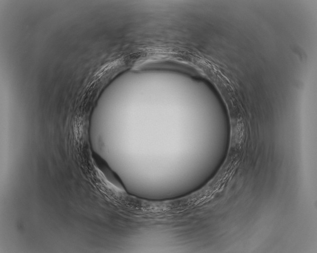 X0000115831157200911131121