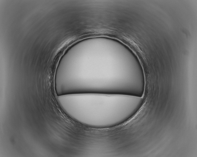 X0000115831163200911131121