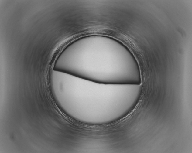 X0000115831164200911131121
