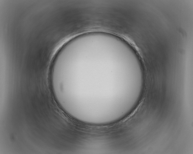 X0000115831167200911131121