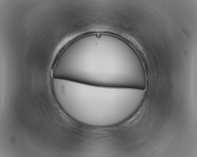 X0000115831175200911131121