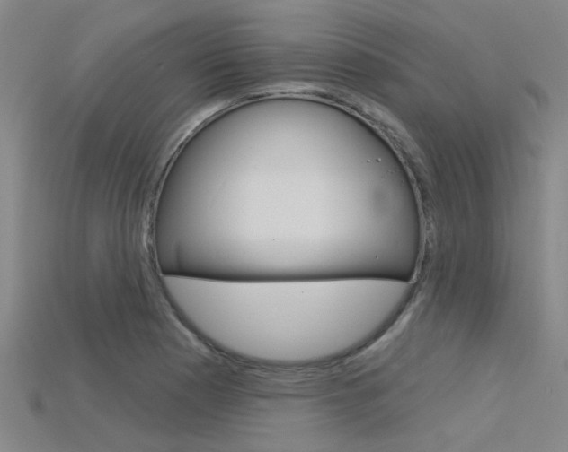 X0000115831177200911131121