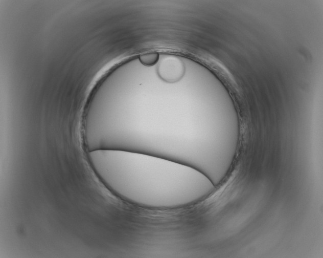 X0000115831182200911131121