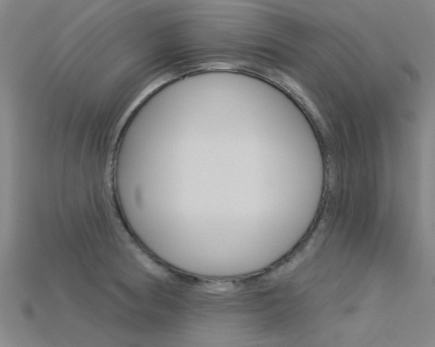 X0000115831186200911131121