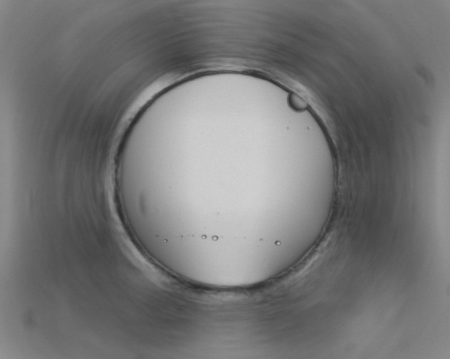 X0000115831187200911131121