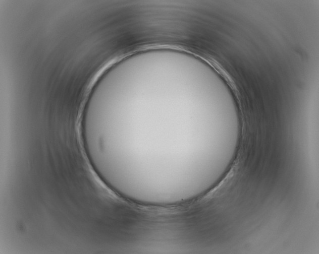 X0000115831189200911131121
