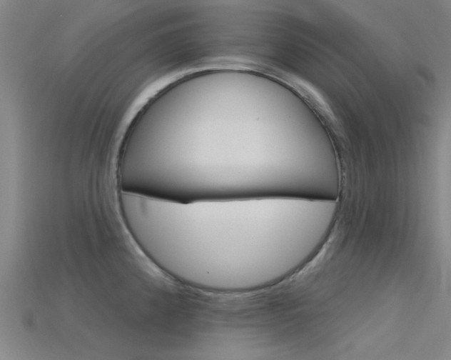 X0000115831192200911131121