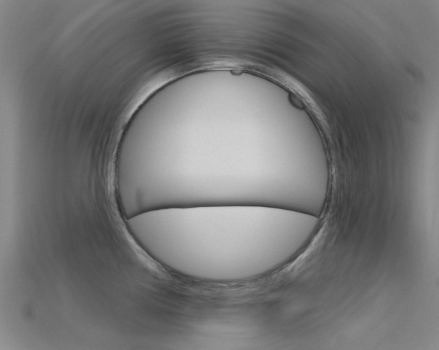 X0000115831194200911131121