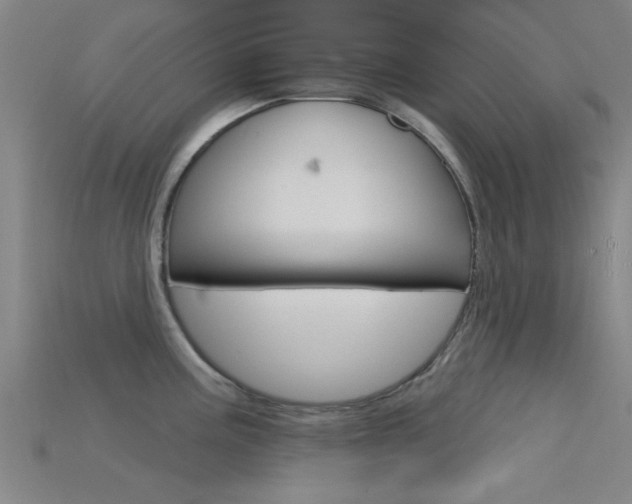 X0000115831195200911131121