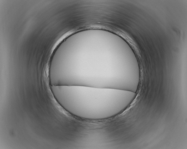 X0000115831198200911131121
