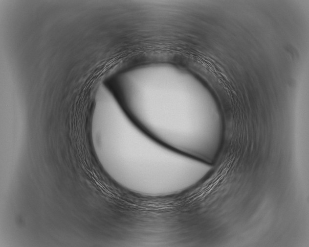 X0000115831201200911131120