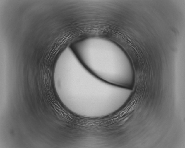 X0000115831202200911131120
