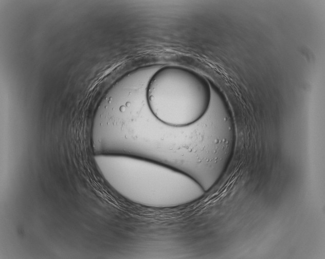 X0000115831205200911131120