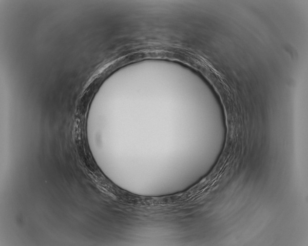 X0000115831208200911131120