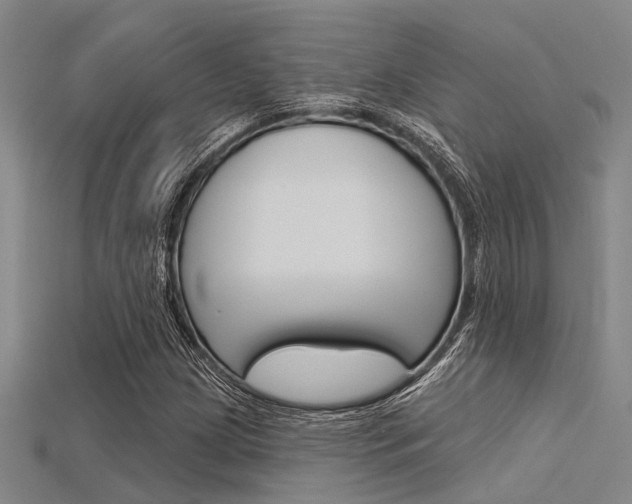 X0000115831209200911131120