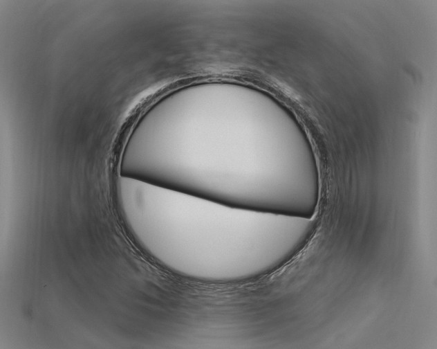 X0000115831214200911131120