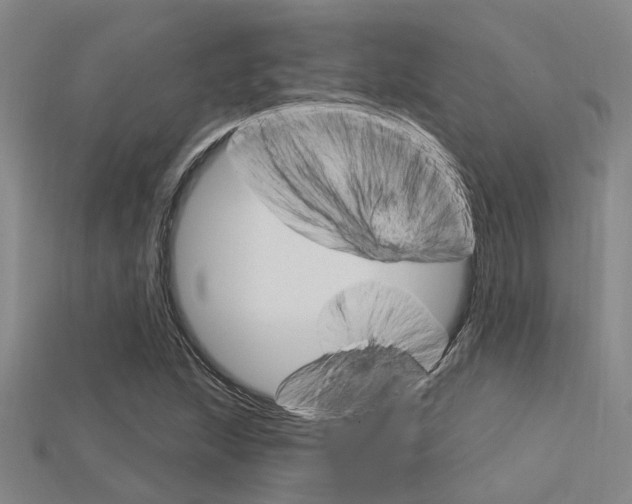 X0000115831215200911131120