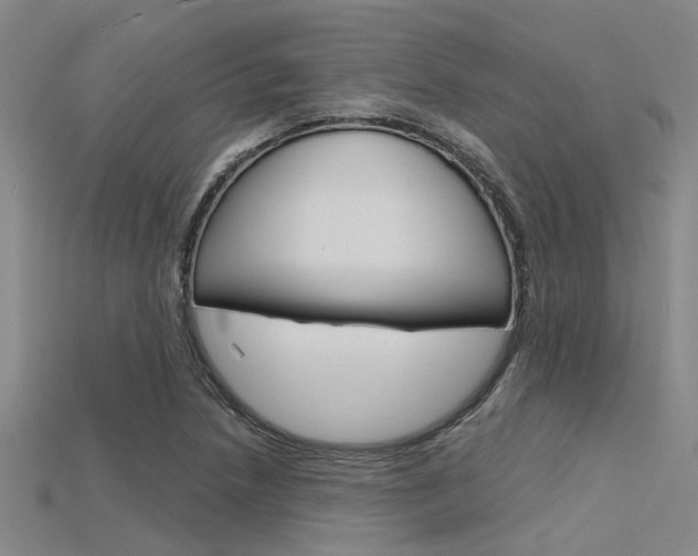 X0000115831218200911131120