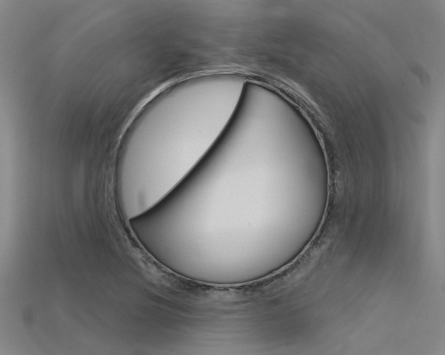 X0000115831220200911131120