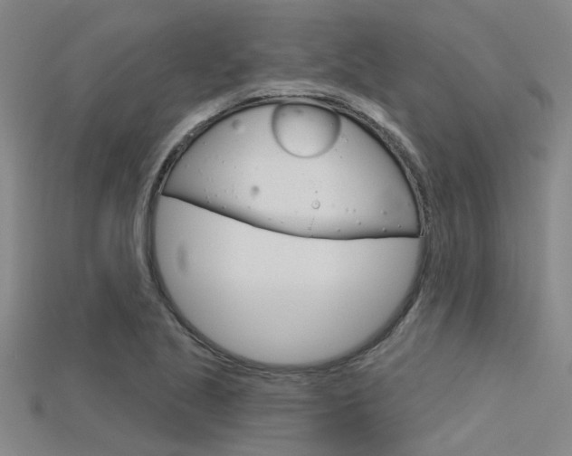 X0000115831221200911131120