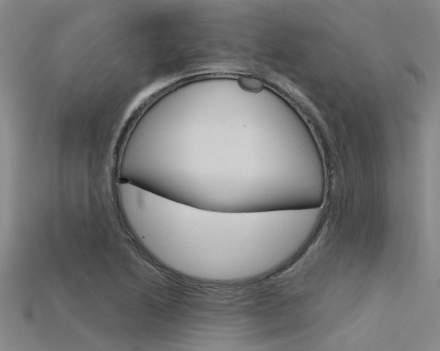 X0000115831222200911131120