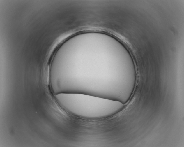 X0000115831223200911131120