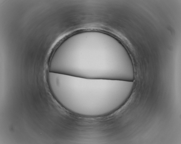 X0000115831224200911131120