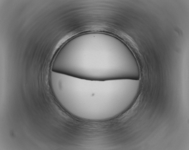 X0000115831226200911131120