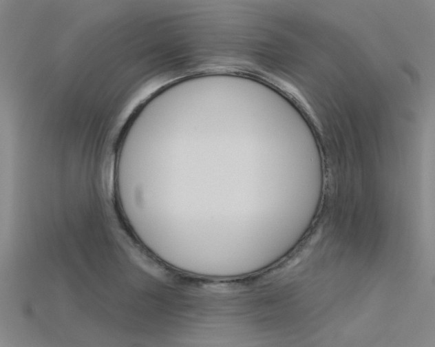 X0000115831227200911131120