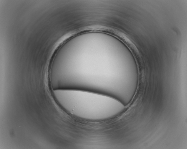 X0000115831229200911131120