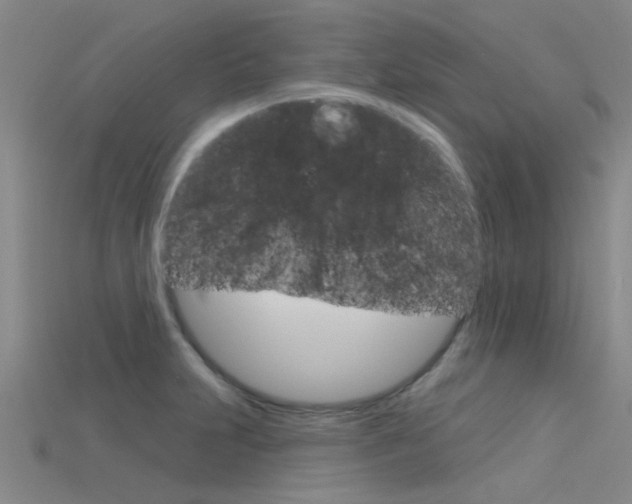 X0000115831231200911131120