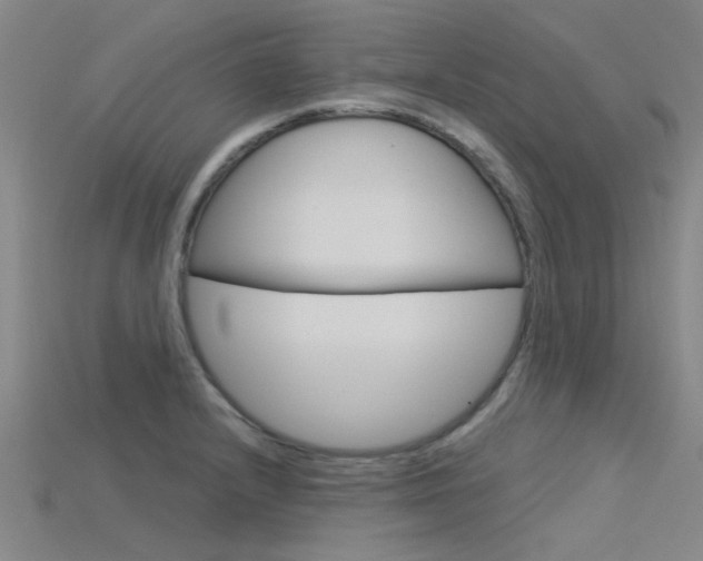 X0000115831232200911131120