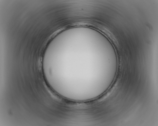 X0000115831233200911131120