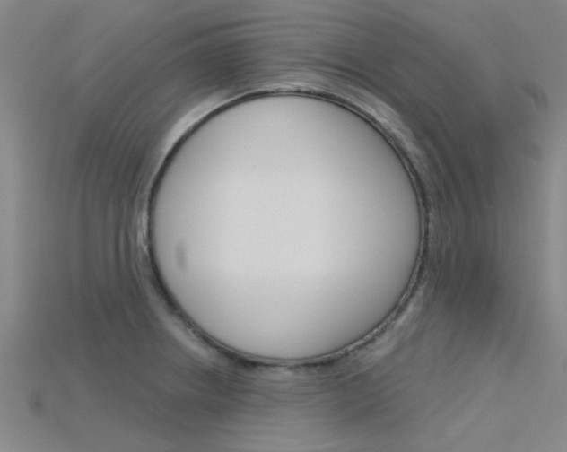 X0000115831234200911131120
