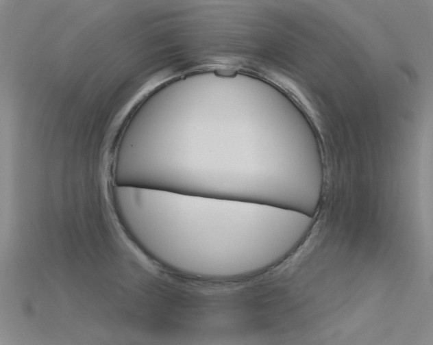 X0000115831235200911131121
