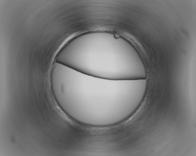 X0000115831236200911131121